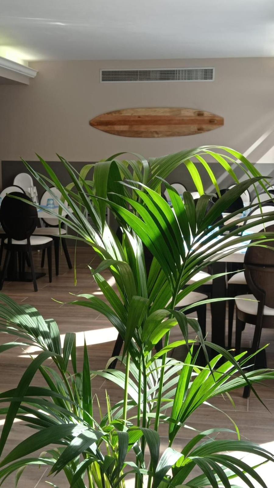 Summer Hotel Calella Ngoại thất bức ảnh